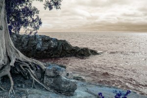 mshallow_126316_607763_2336c2dd30_d0ef31b537-mshallow-img_1105-1600x1067