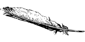feather-32534_1280
